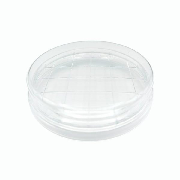 Suministros Vilchis | Placa Petri 65mm tipo RODAC - VMLab