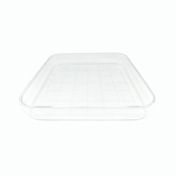 Suministros Vilchis | Placas Petri Cuadrada con Retícula 100x100 - VMLab
