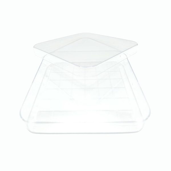 Suministros Vilchis | Placas Petri Cuadrada con Retícula 100x100 - VMLab